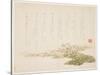 Violets, C.1848-53-Ho Shu-Stretched Canvas