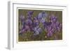 Violets-null-Framed Art Print