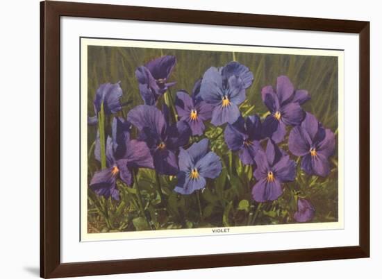 Violets-null-Framed Art Print