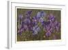 Violets-null-Framed Art Print