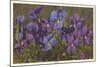 Violets-null-Mounted Art Print