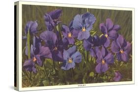 Violets-null-Stretched Canvas