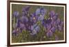 Violets-null-Framed Art Print