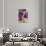 Violetti I-Lanie Loreth-Art Print displayed on a wall