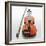 Violin and Bow-null-Framed Photographic Print