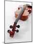 Violin-null-Mounted Photographic Print