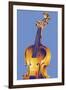 Violin-David Chestnutt-Framed Giclee Print