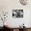 Violinist Yehudi Menuhin, 20, Tuning His Violin, Prepares to Practice the Schumann Violin Concerto-Horace Bristol-Premium Photographic Print displayed on a wall