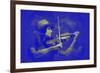 Violinist-NaxArt-Framed Premium Giclee Print