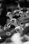 Just the Print