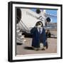 VIP - Very Important Penguin-Lucia Heffernan-Framed Art Print