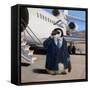 VIP - Very Important Penguin-Lucia Heffernan-Framed Stretched Canvas