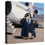 VIP - Very Important Penguin-Lucia Heffernan-Stretched Canvas