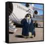 VIP - Very Important Penguin-Lucia Heffernan-Framed Stretched Canvas