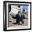 VIP - Very Important Penguin-Lucia Heffernan-Framed Art Print