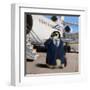 VIP - Very Important Penguin-Lucia Heffernan-Framed Art Print