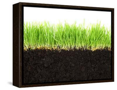 viperagp-cross-section-of-soil
