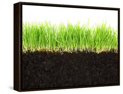 山元彩香 写真集 「We are Made of Grass, Soil, Artists' Books: Ayaka Yamamoto - Twittering Machines