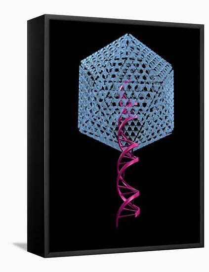 Viral Gene Therapy, Artwork-Laguna Design-Framed Stretched Canvas