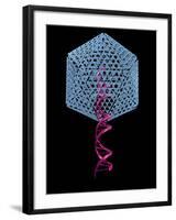 Viral Gene Therapy, Artwork-Laguna Design-Framed Photographic Print