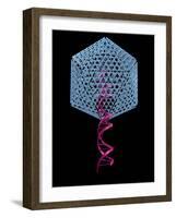 Viral Gene Therapy, Artwork-Laguna Design-Framed Photographic Print