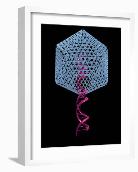 Viral Gene Therapy, Artwork-Laguna Design-Framed Photographic Print