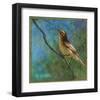 Vireo-Chris Vest-Framed Art Print