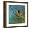 Vireo-Chris Vest-Framed Art Print