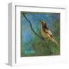 Vireo-Chris Vest-Framed Art Print