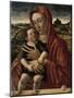 Virgin and Child, 1465-Giovanni Bellini-Mounted Giclee Print