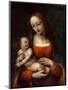 Virgin and Child, 1510-1515-Giampietrino-Mounted Giclee Print