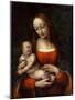 Virgin and Child, 1510-1515-Giampietrino-Mounted Giclee Print