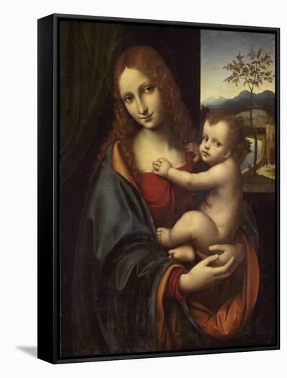 Virgin and Child, 1510-1525-Giampietrino-Framed Stretched Canvas