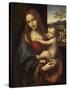 Virgin and Child, 1510-1525-Giampietrino-Stretched Canvas