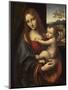 Virgin and Child, 1510-1525-Giampietrino-Mounted Giclee Print