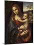 Virgin and Child, 1510-1525-Giampietrino-Mounted Giclee Print