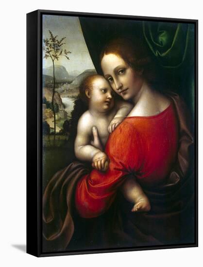 Virgin and Child, 1520S-Giampietrino-Framed Stretched Canvas