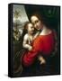 Virgin and Child, 1520S-Giampietrino-Framed Stretched Canvas