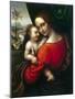 Virgin and Child, 1520S-Giampietrino-Mounted Giclee Print