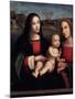 Virgin and Child, 15th or Early 16th Century-Francesco Francia-Mounted Giclee Print