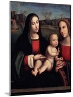 Virgin and Child, 15th or Early 16th Century-Francesco Francia-Mounted Giclee Print