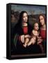 Virgin and Child, 15th or Early 16th Century-Francesco Francia-Framed Stretched Canvas
