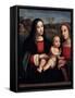 Virgin and Child, 15th or Early 16th Century-Francesco Francia-Framed Stretched Canvas