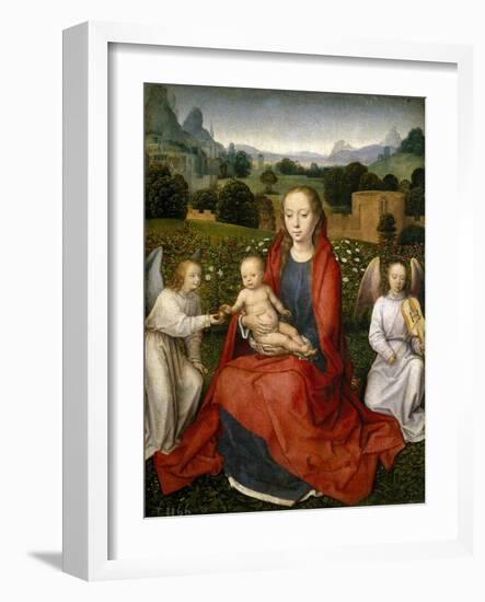 Virgin and Child and Two Angels, 1480-1490-Hans Memling-Framed Giclee Print