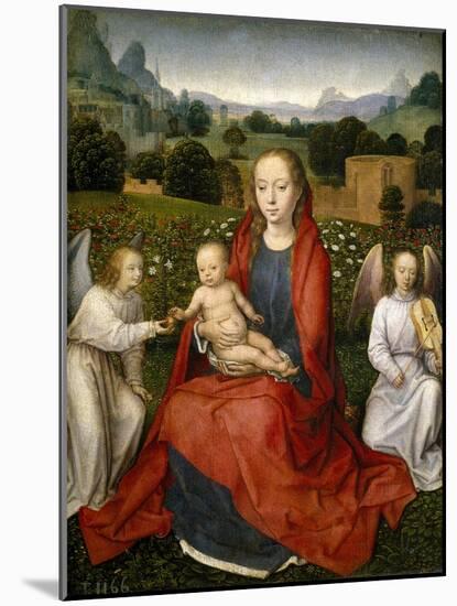 Virgin and Child and Two Angels, 1480-1490-Hans Memling-Mounted Giclee Print