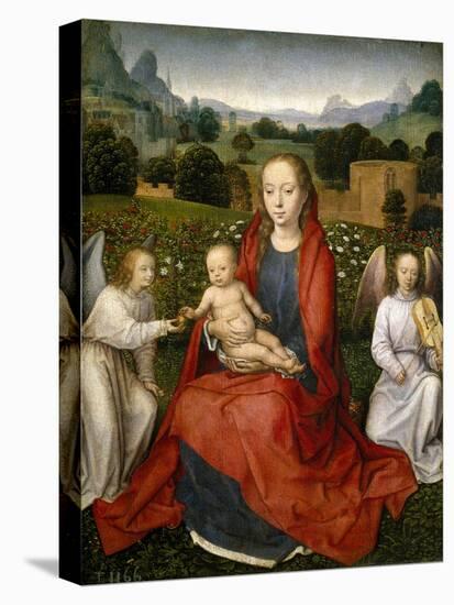 Virgin and Child and Two Angels, 1480-1490-Hans Memling-Stretched Canvas