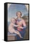 Virgin and Child, Andrea Del Sarto, 1486-1530-null-Framed Stretched Canvas