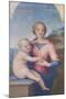 Virgin and Child, Andrea Del Sarto, 1486-1530-null-Mounted Giclee Print