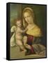 Virgin and Child, Benvenuto Tisi Da Garofalo-Benvenuto Tisi Da Garofalo-Framed Stretched Canvas