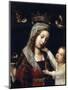 Virgin and Child, Between 1465 and 1529-Jan Provost-Mounted Giclee Print